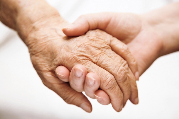 iStock_000009774358Medium.jpg