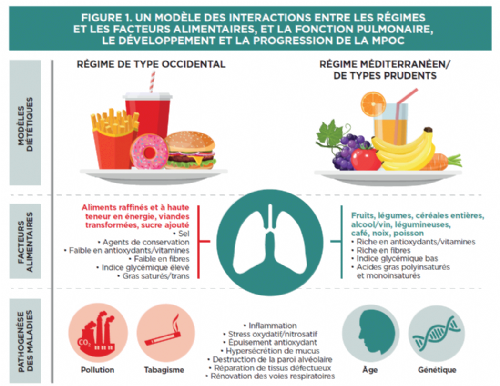 image-nutrition_2020.png