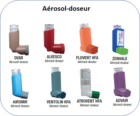 Salbutamol Aerosol Prix